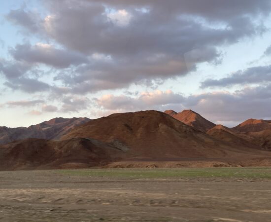 IMG_4311 IMG_4311